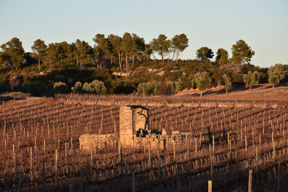 PIEDRA SECA EN LA COMARCA DEL MATARRAA